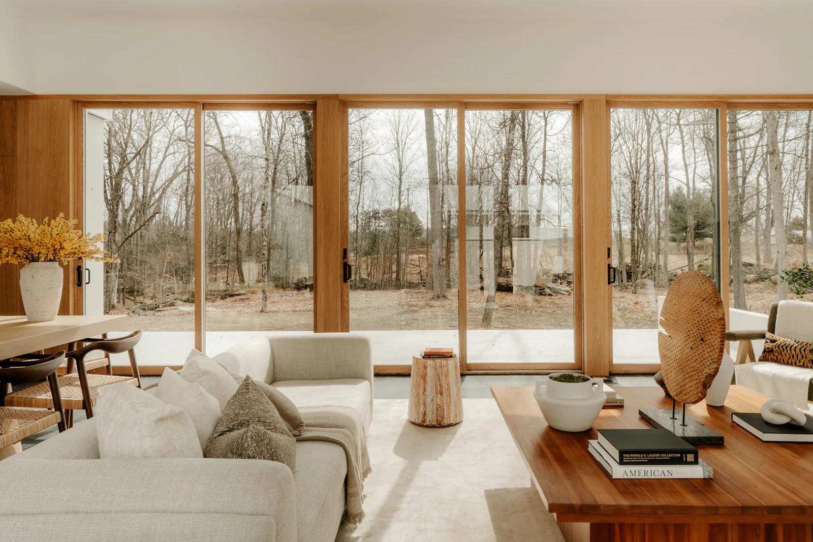 Custom-home concept — modern living room